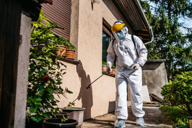 Best Bed Bug Extermination  in Fairlawn, OH