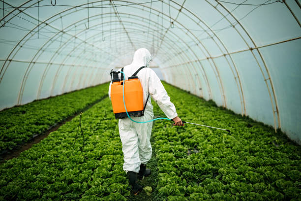 Best Pest Control Treatment  in Fairlawn, OH