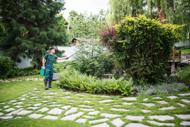Best Mosquito Control Services  in Fairlawn, OH