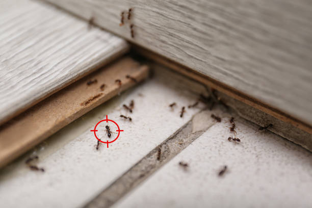 Best Pest Removal Services  in Fairlawn, OH