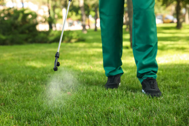 Best Flea Control Services  in Fairlawn, OH