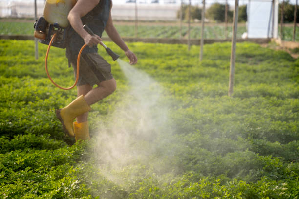 Best Pest Inspection Near Me  in Fairlawn, OH