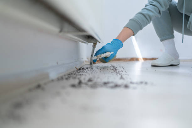 Best Pest Prevention Services  in Fairlawn, OH