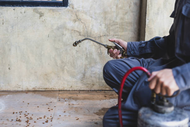 Best Rat Extermination Near Me  in Fairlawn, OH