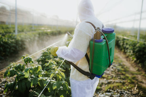 Pest Prevention Services in Fairlawn, OH